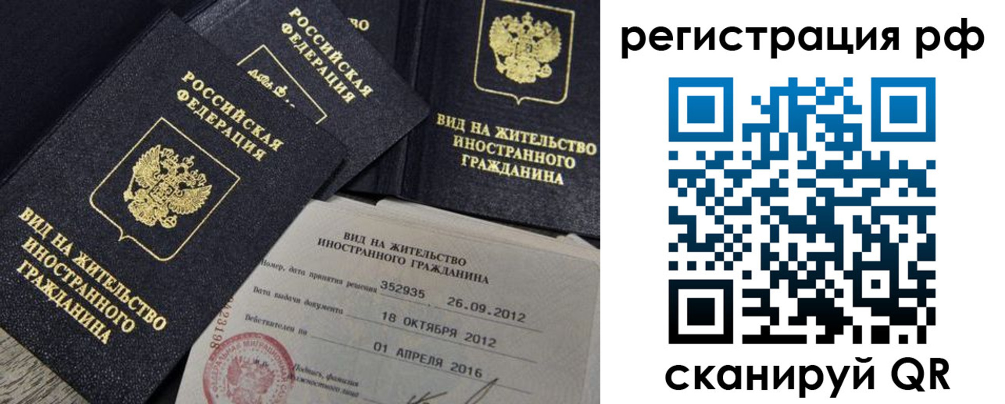 прописка гарантия в Апатитах